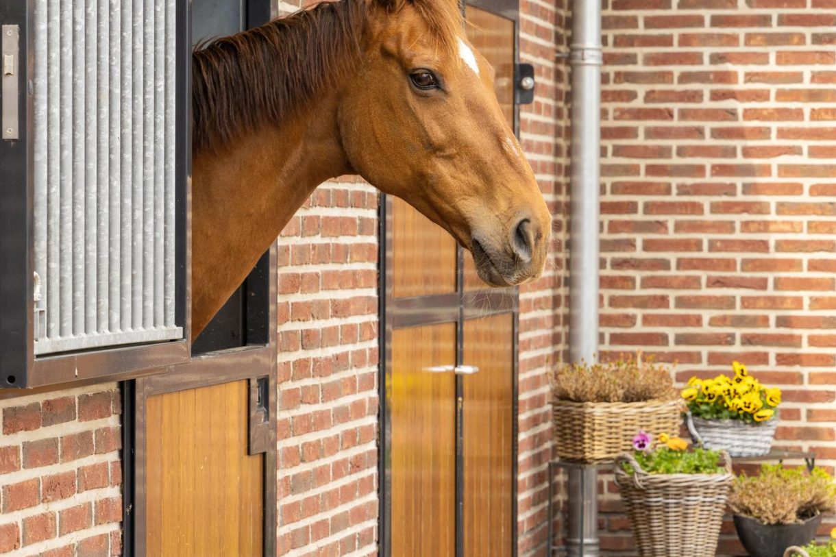 Te koop: Foto Woonhuis aan de Diederikweg 4 in Voorst