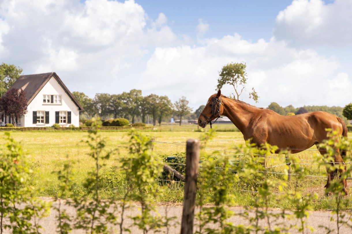 Te koop: Foto Woonhuis aan de Diederikweg 4 in Voorst