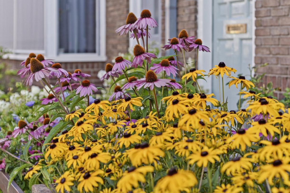 Te koop: Foto Woonhuis aan de Borrostraat 11 in Zutphen