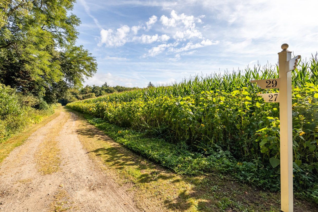 Te koop: Foto Woonhuis aan de Scheuterdijk 27 in Eefde