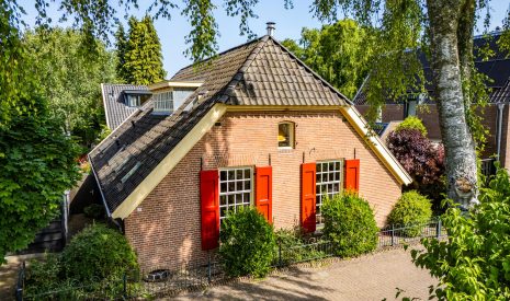 koop  Dieren  Vingerhoed 7 – Hoofdfoto