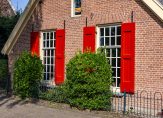koop  Dieren  Vingerhoed 7 – Foto 2