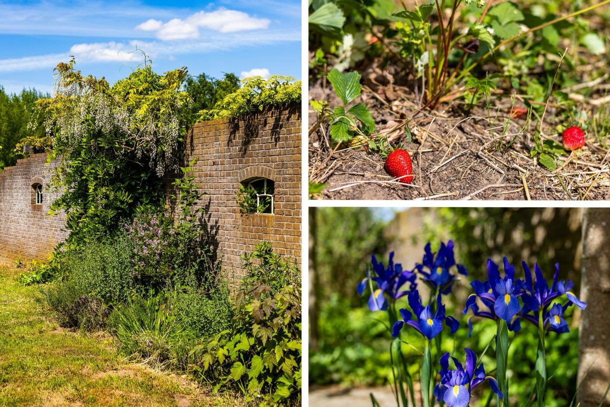Te koop: Foto Woonhuis aan de Zutphen-Emmerikseweg 141A in Baak