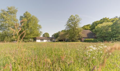 koop  Hall  Hogestraat 3 – Hoofdfoto