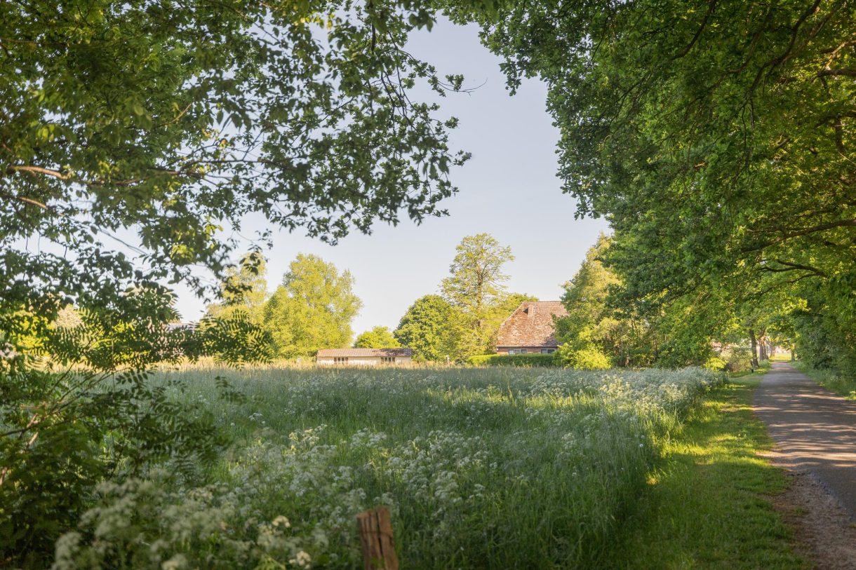 Te koop: Foto Woonhuis aan de Hogestraat 3 in Hall