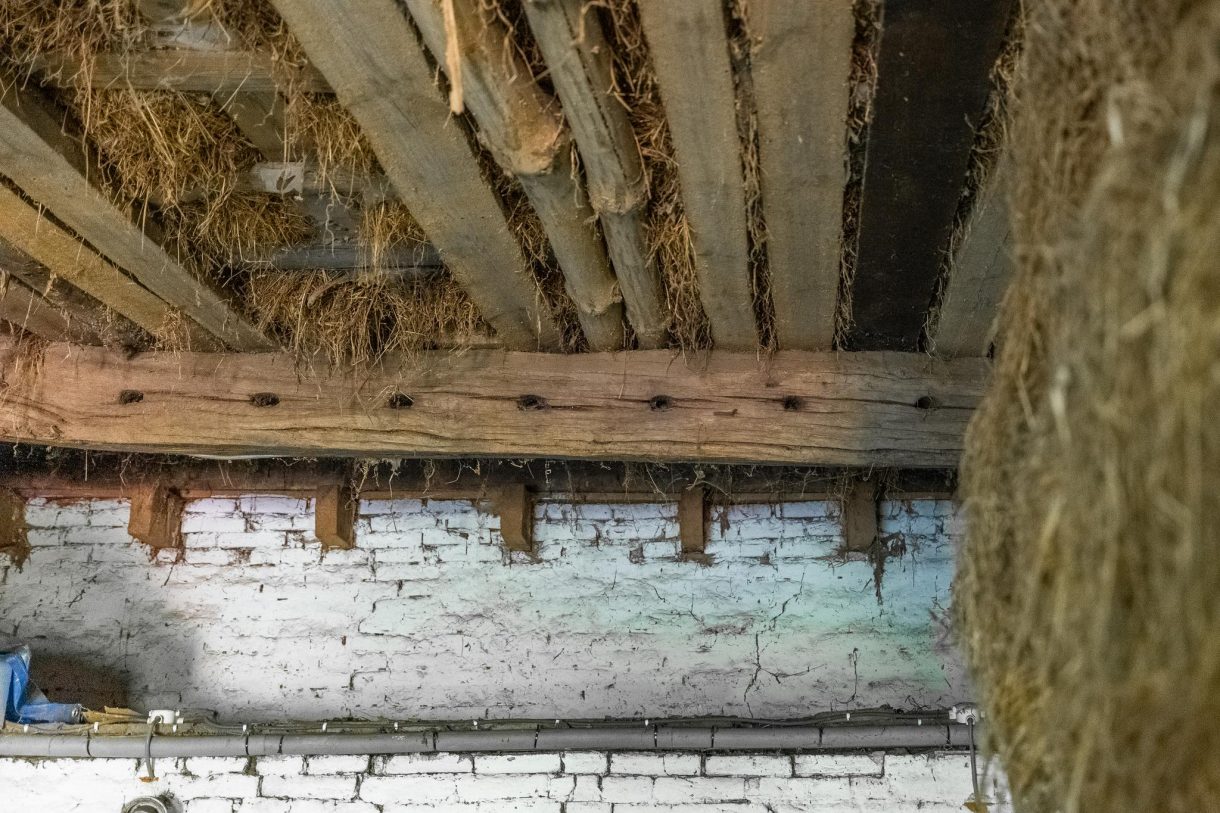 Te koop: Foto Woonhuis aan de Hogestraat 3 in Hall