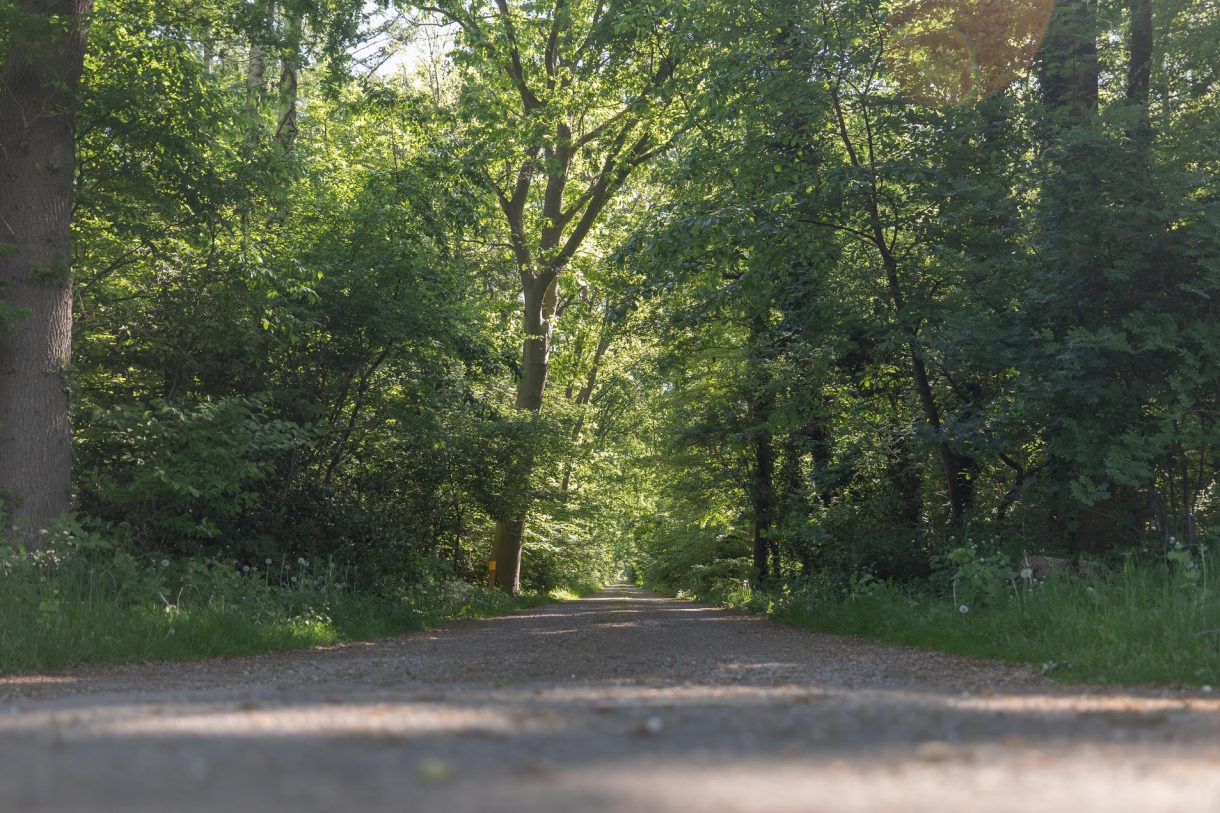 Te koop: Foto Woonhuis aan de Hogestraat 3 in Hall
