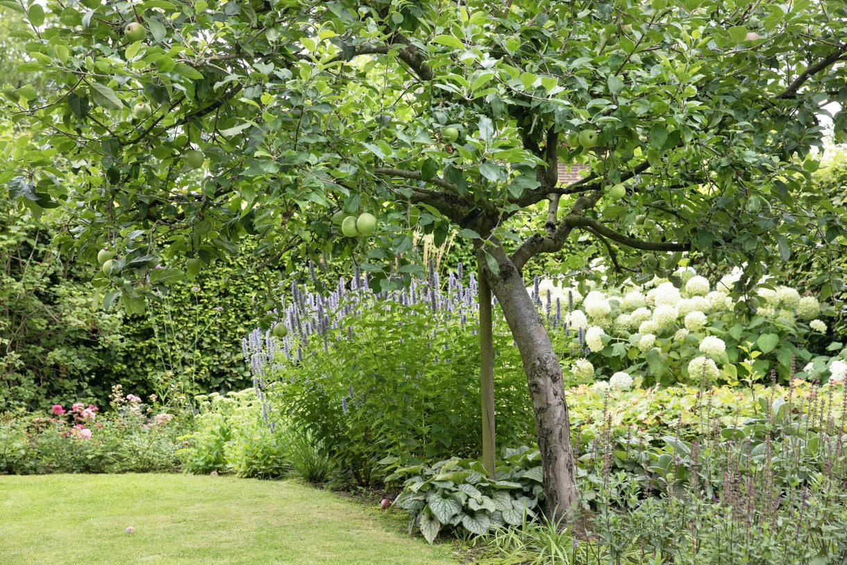Te koop: Foto Woonhuis aan de Boterstraat 4 in Bronkhorst