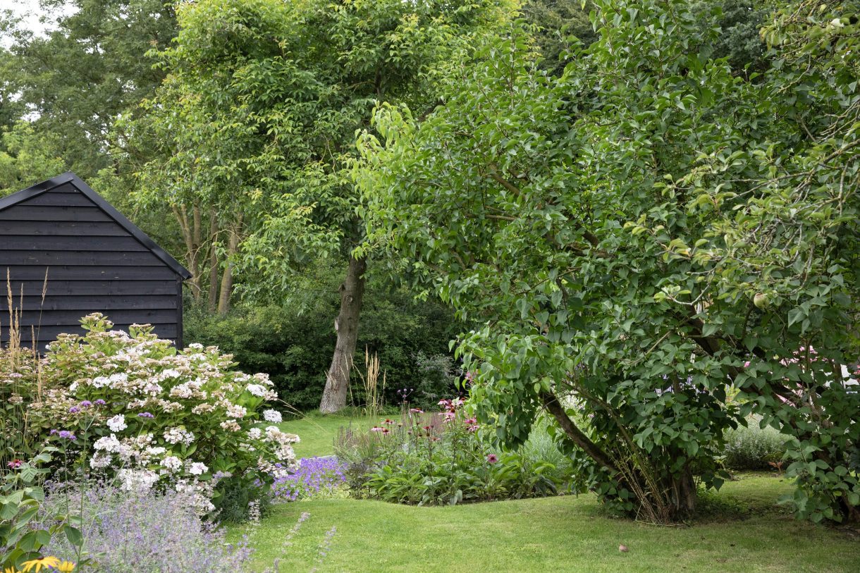 Te koop: Foto Woonhuis aan de Boterstraat 4 in Bronkhorst