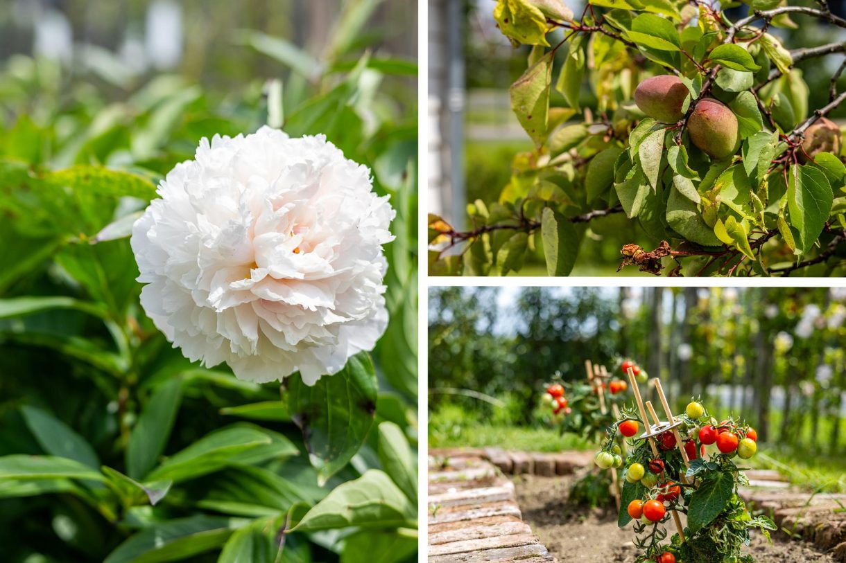 Te koop: Foto Woonhuis aan de Berghegelaan 16 in Zutphen