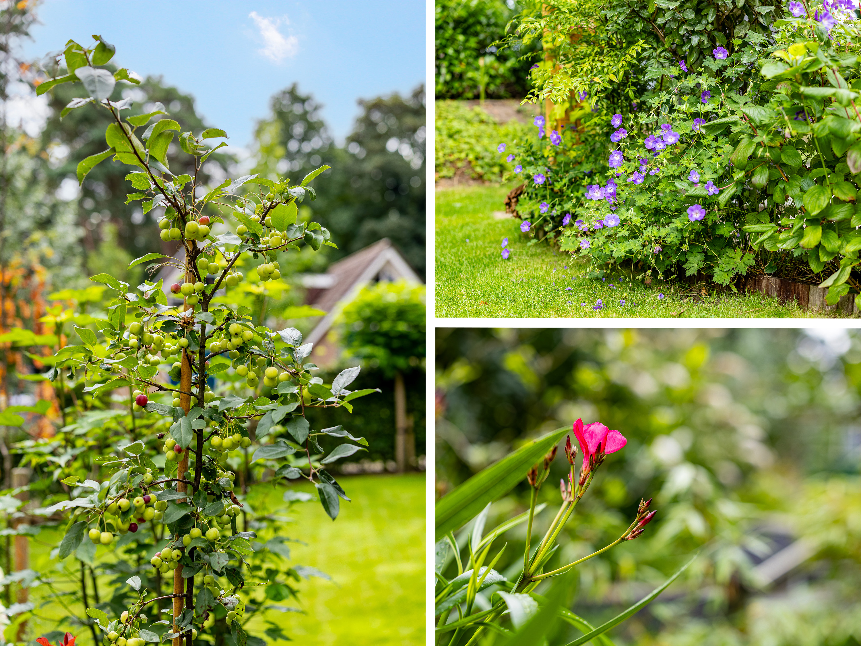 Te koop: Foto Woonhuis aan de Tullekenweg 16 in Eerbeek