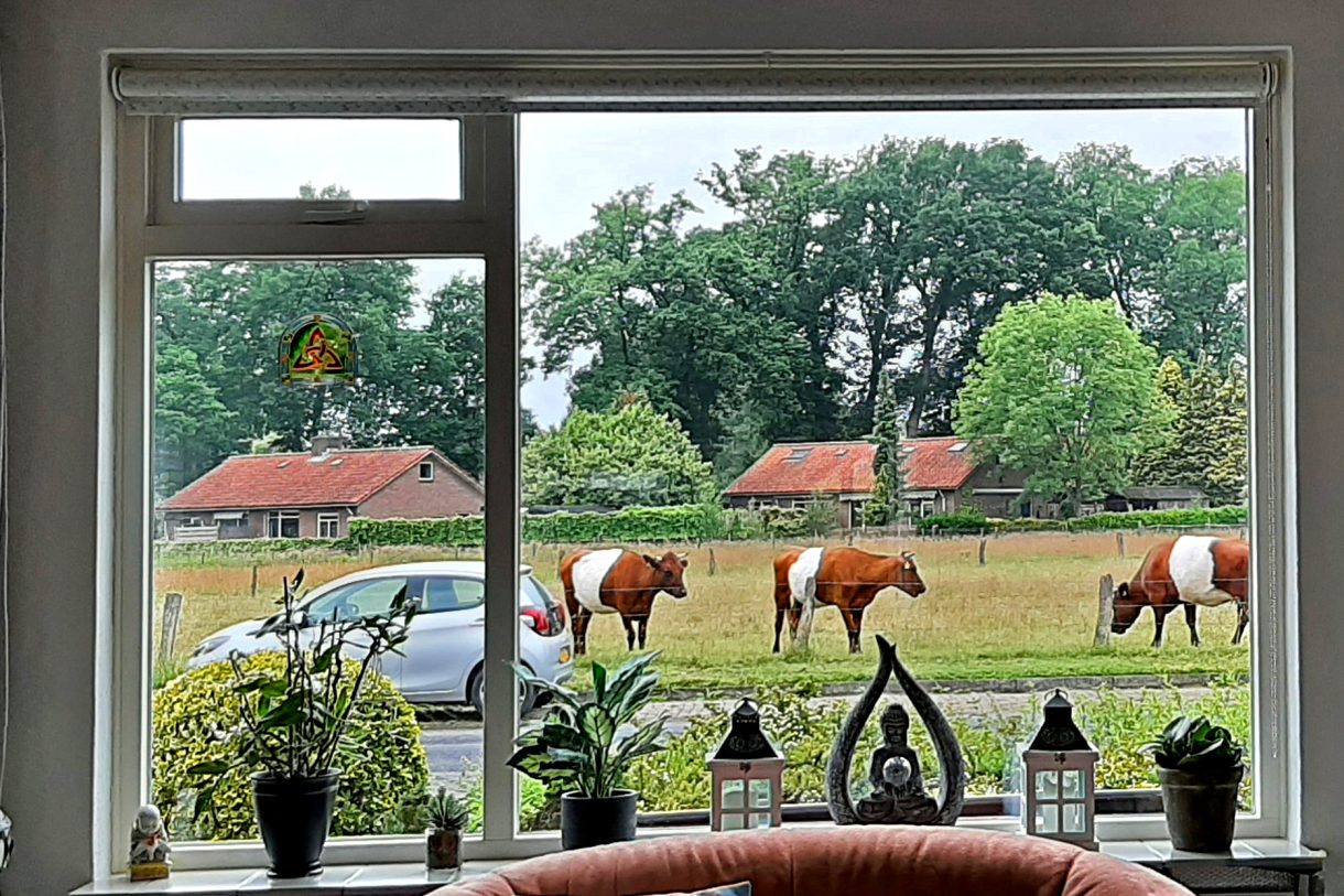 Te koop: Foto Woonhuis aan de Manegelaan 15 in Gorssel