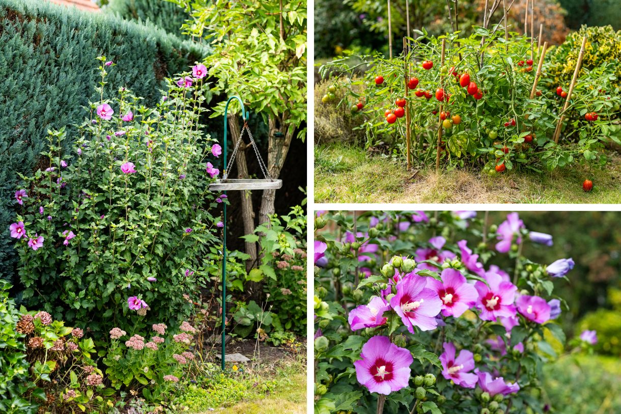 Te koop: Foto Woonhuis aan de Zutphenseweg 10a in Laren